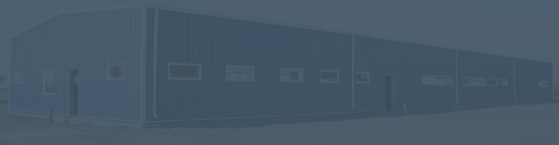 banner image